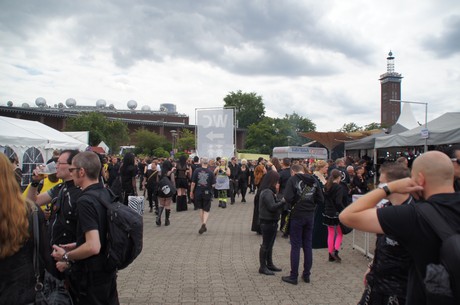 amphi-festilval