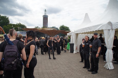 amphi-festilval