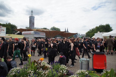 amphi-festilval