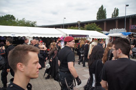 amphi-festilval