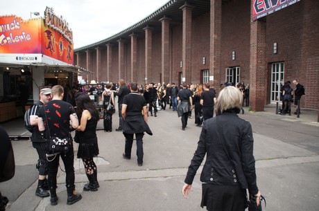 amphi-festilval
