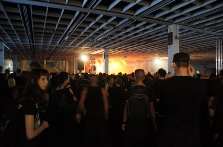 amphi-festilval