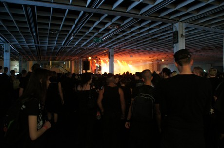 amphi-festilval