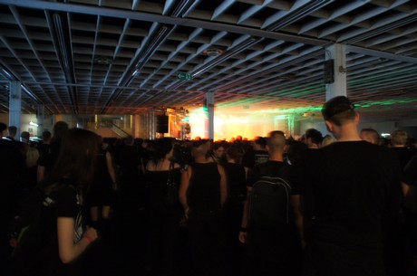 amphi-festilval