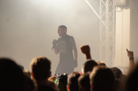 amphi-festilval