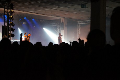 amphi-festilval