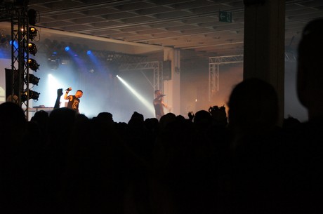 amphi-festilval