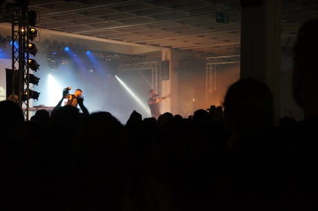 amphi-festilval