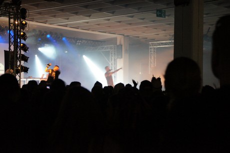 amphi-festilval