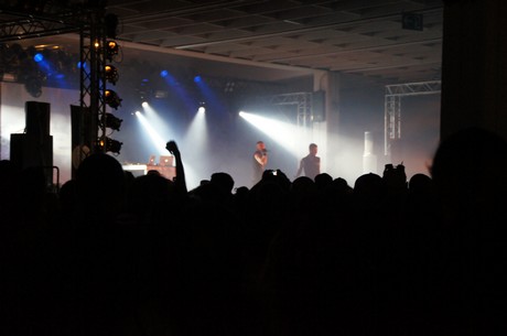 amphi-festilval