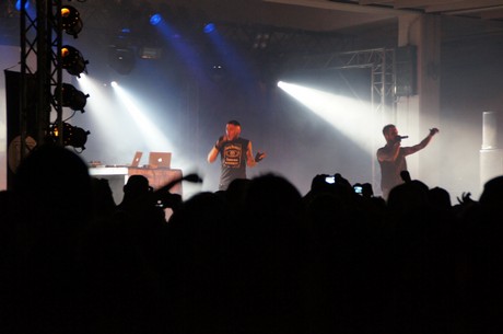 amphi-festilval