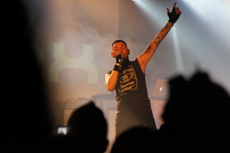 amphi-festilval
