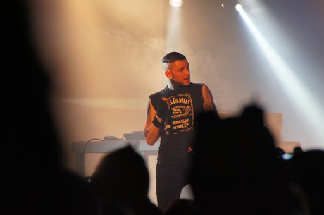 amphi-festilval