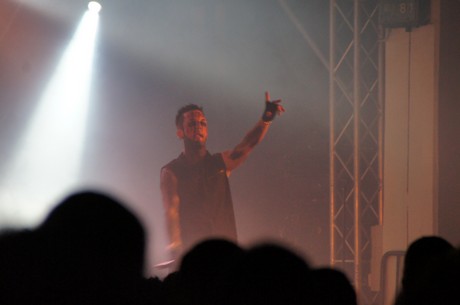 amphi-festilval