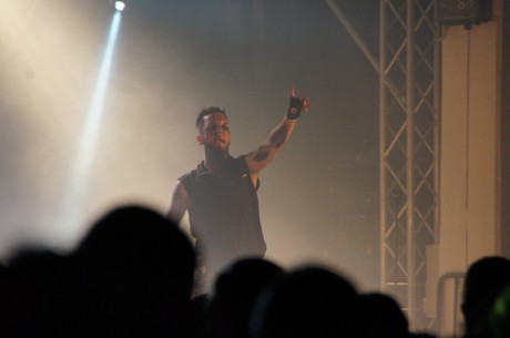 amphi-festilval
