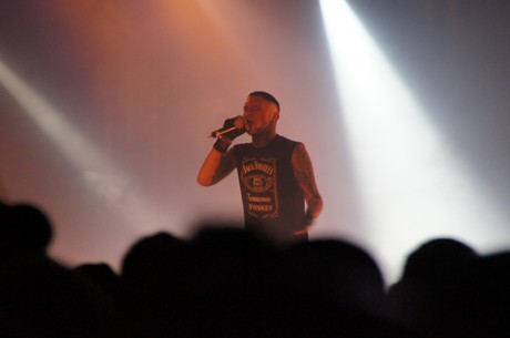 amphi-festilval