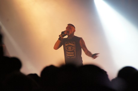 amphi-festilval