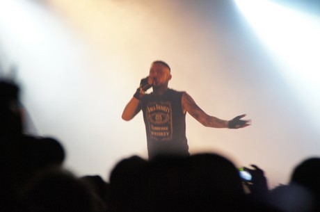 amphi-festilval