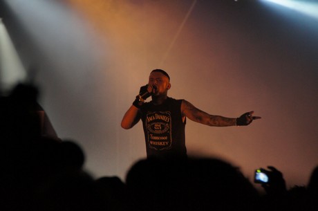 amphi-festilval