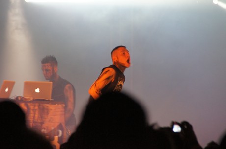 amphi-festilval
