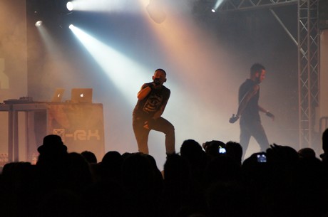 amphi-festilval