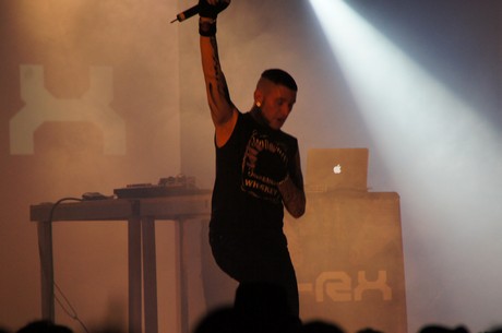 amphi-festilval