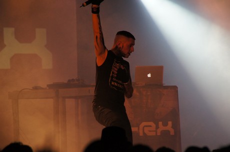 amphi-festilval