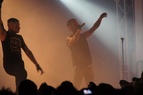 amphi-festilval