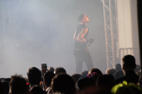 amphi-festilval