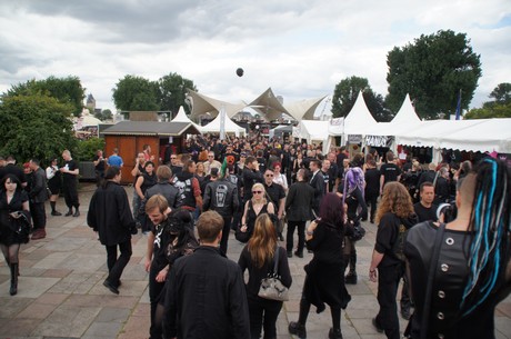 amphi-festilval
