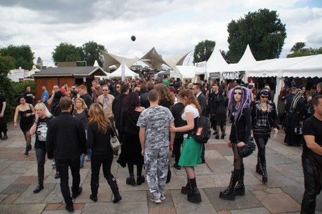 amphi-festilval