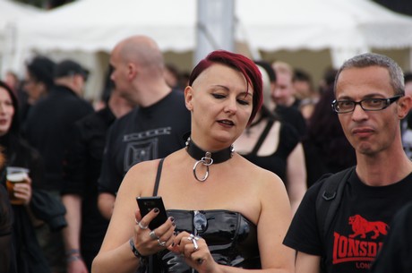 amphi-festilval