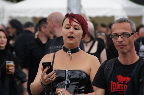 amphi-festilval