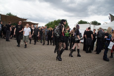 amphi-festilval