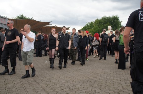 amphi-festilval
