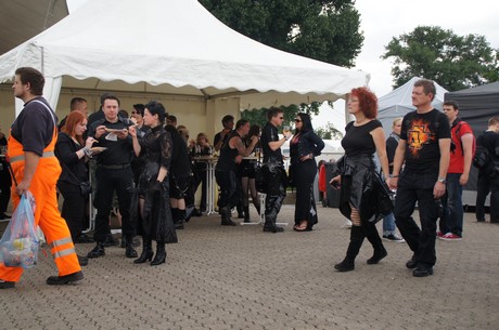 amphi-festilval