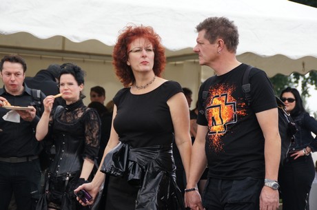 amphi-festilval
