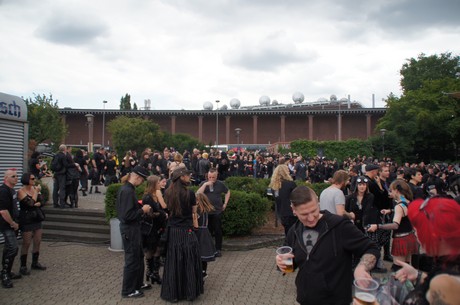 amphi-festilval