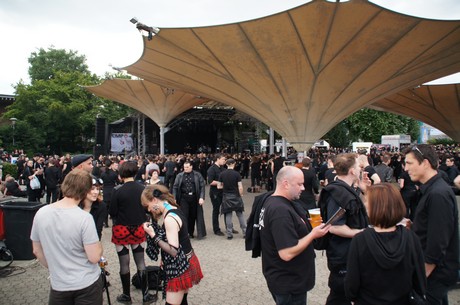 amphi-festilval