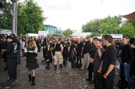 amphi-festilval