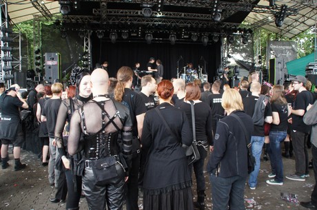 amphi-festilval