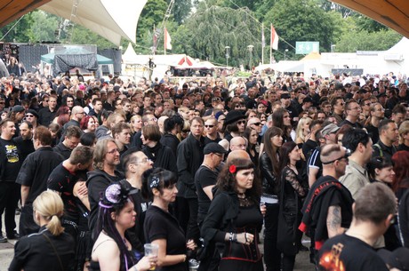 amphi-festilval