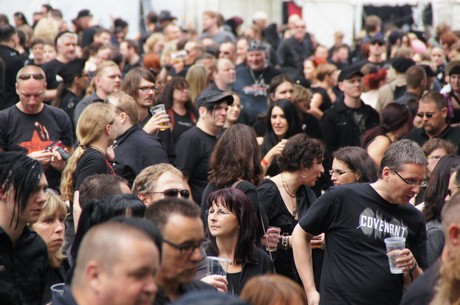 amphi-festilval