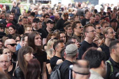 amphi-festilval