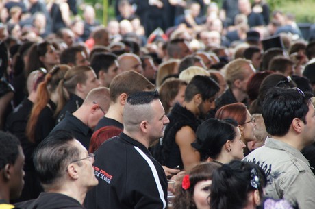 amphi-festilval