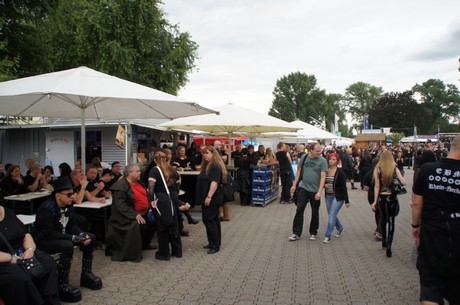 amphi-festilval