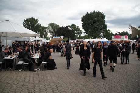 amphi-festilval