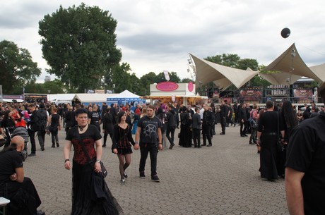 amphi-festilval
