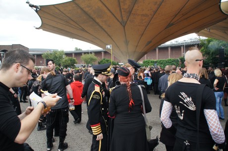 amphi-festilval
