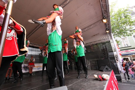 carreefest